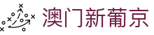 澳门新葡京娱乐官网首页，聚焦登录网址与品牌入口